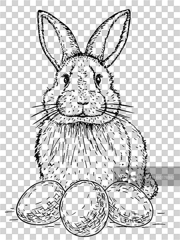 复活节兔子与复活节彩蛋图片素材