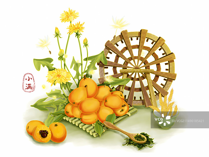 小满节气农业插画图片素材