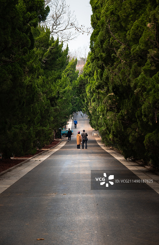 青岛八大关图片素材