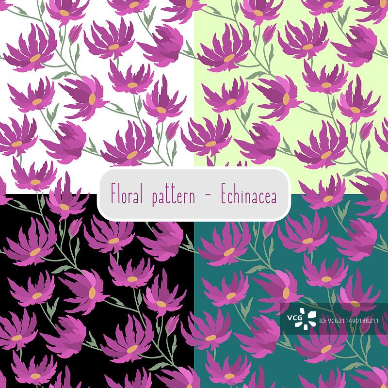 手绘紫锥花无缝图案图片素材