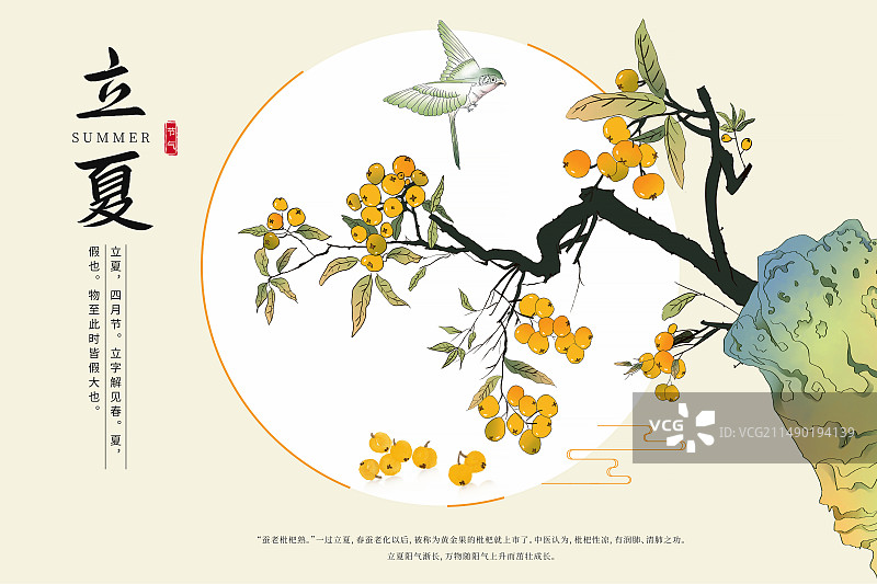 中国风二十四节气窗插画海报模版-夏天  立夏时假山上的枇杷树 应季蔬菜水果 植物小清新插画   横版图片素材