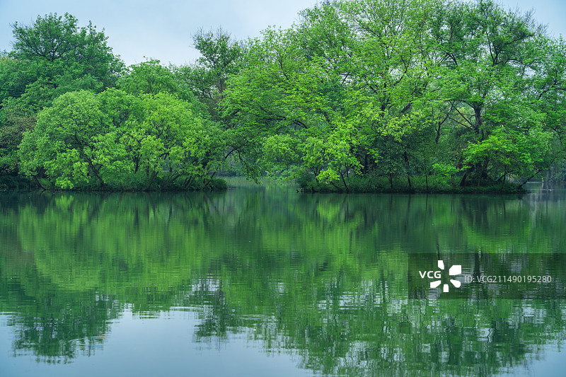 江南杭州西湖浴鹄湾春天春雨阴雨天自然建筑风景图片素材