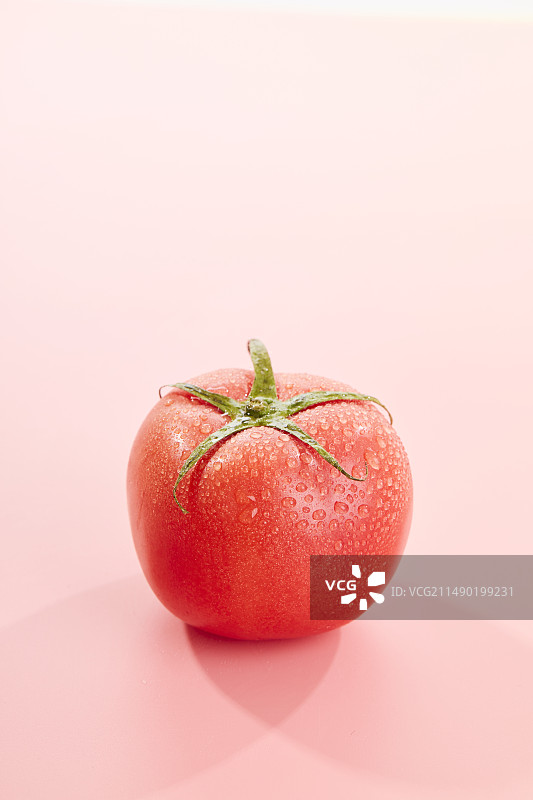 西红柿图片素材
