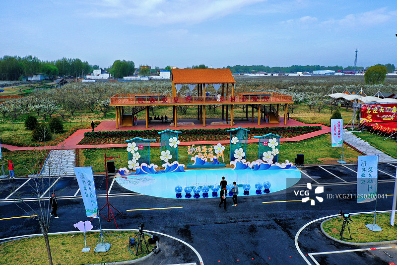 雄安新区雄县万亩梨花节开幕马蹄湾村图片素材