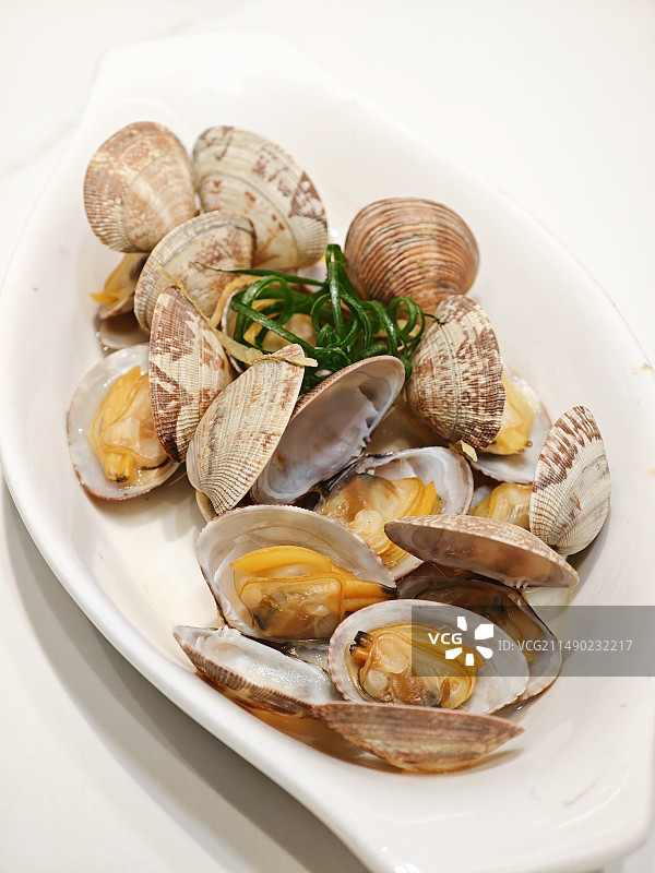 清蒸花蛤图片素材