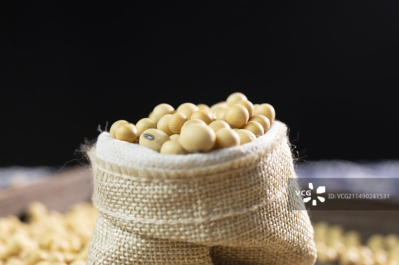 黄豆粮食农作物图片素材