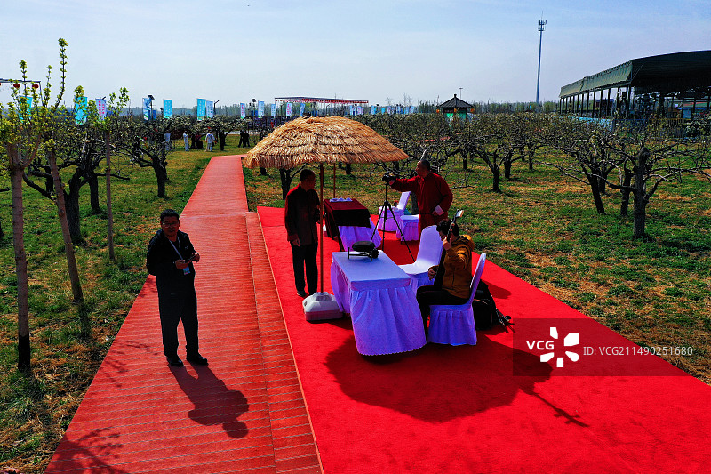 雄安新区雄县万亩梨花节开幕马蹄湾村图片素材