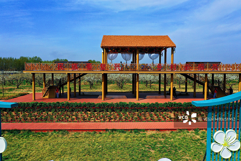 雄安新区雄县万亩梨花节开幕马蹄湾村图片素材