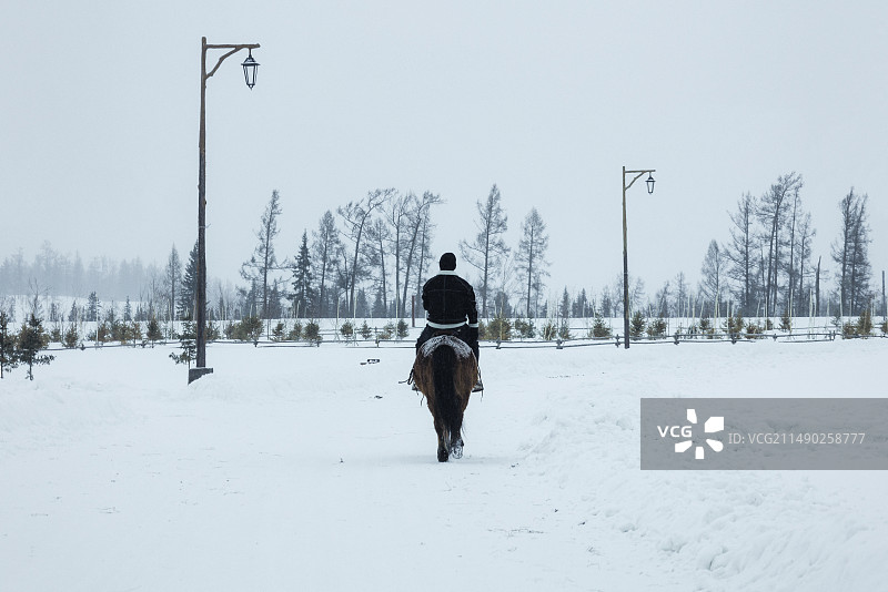 雪地上骑马的人的后视图图片素材