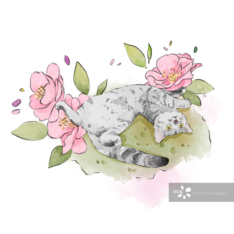 小猫戏花丛图片素材
