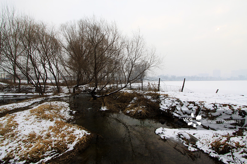 河北滦南北河公园雪景图片素材