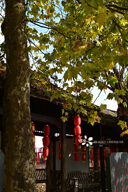 周宁鲤鱼溪风光图片素材