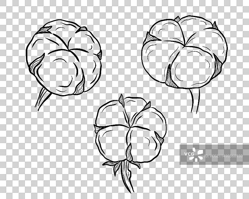 复古雕刻风格手绘棉签图片素材