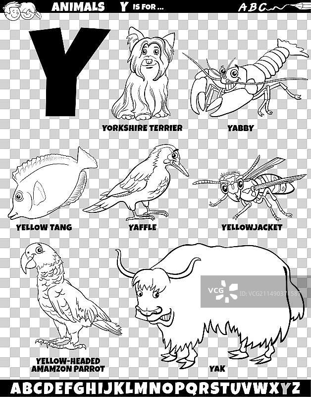 字母Y卡通动物角色图片素材