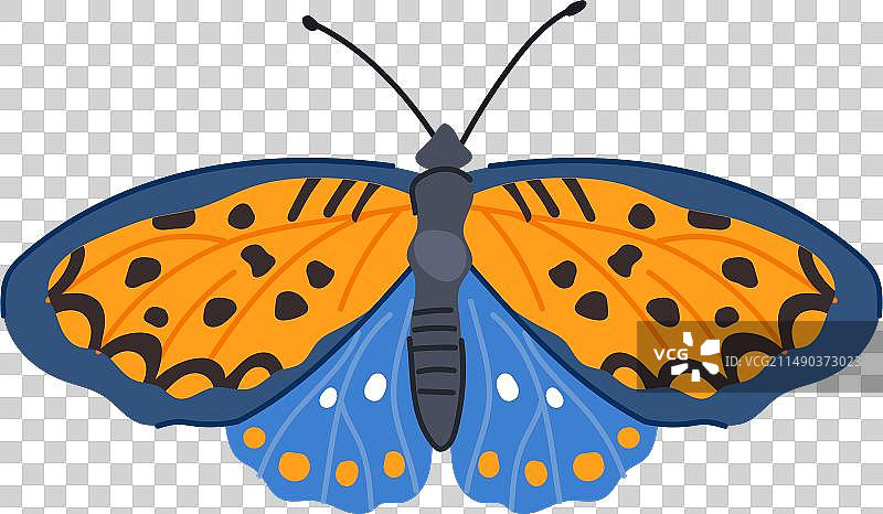 卡通蝴蝶剪影图片素材