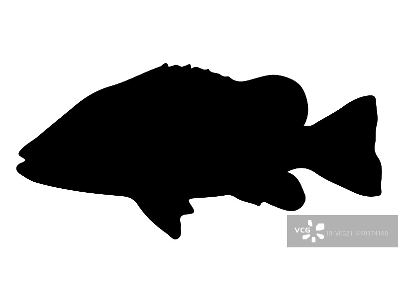 巨型鲹鱼剪影艺术图片素材