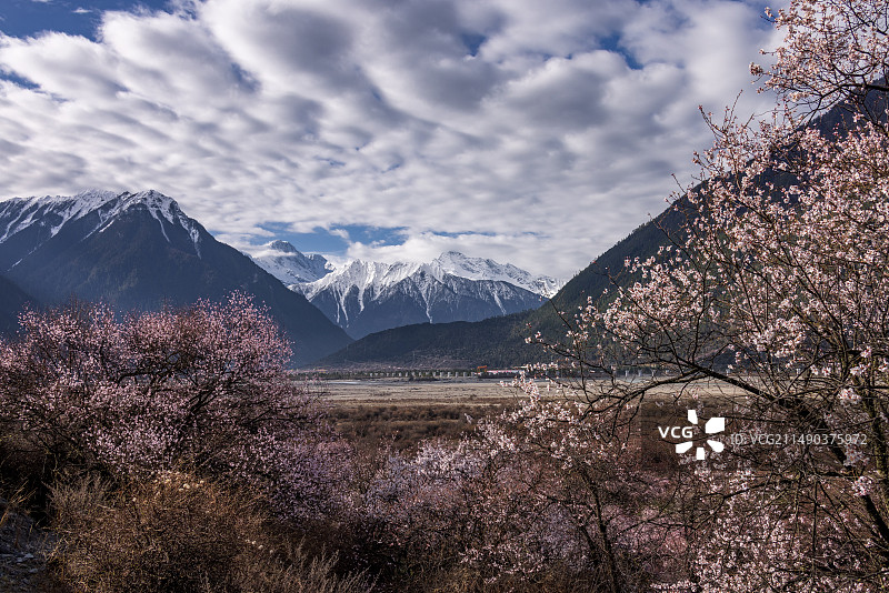 西藏林芝桃花沟图片素材