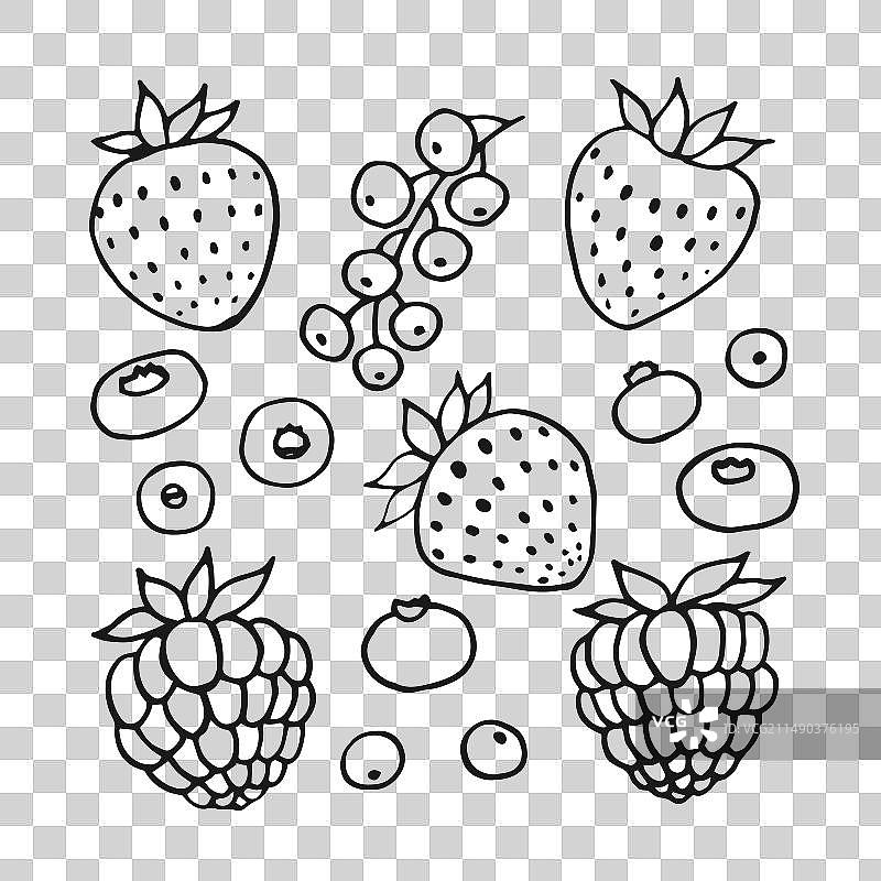 手绘浆果轮廓素材图片素材