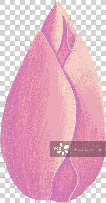 一朵粉色的花苞图片素材