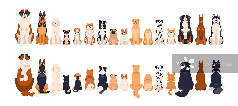 狗狗边框前后视图尾巴图片素材