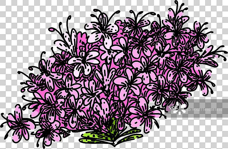 手绘草本缬草素描图片素材