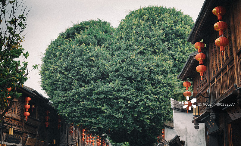 福州三坊七巷爱心树图片素材