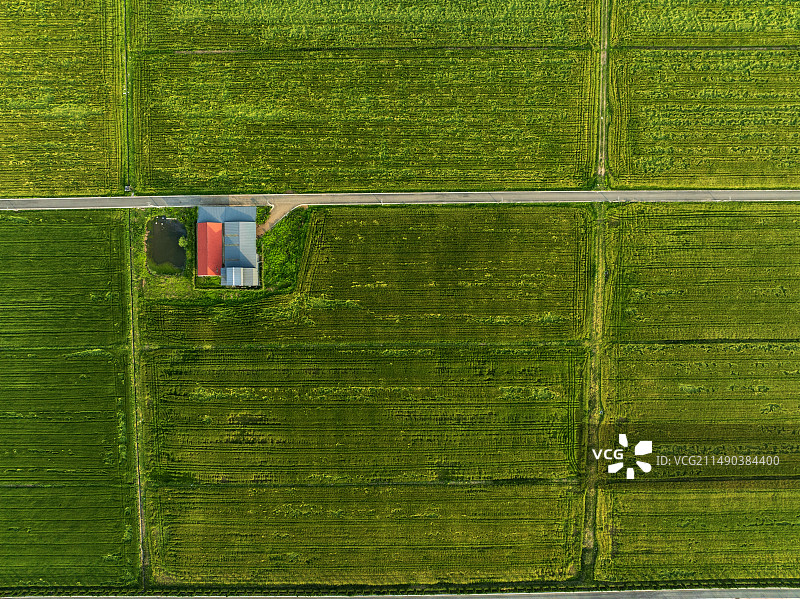 农场风光图片素材