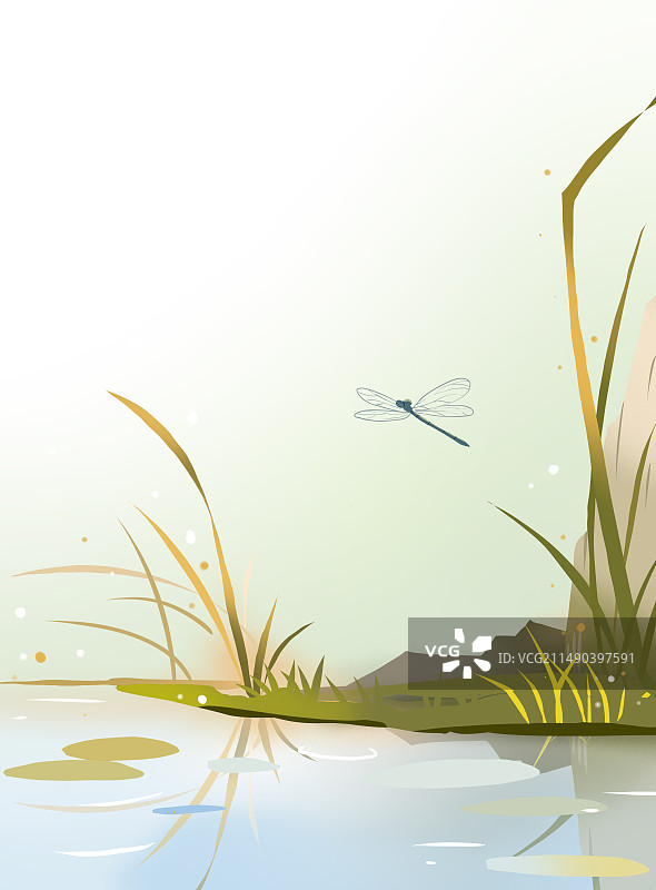 夏天蜻蜓背景图片素材