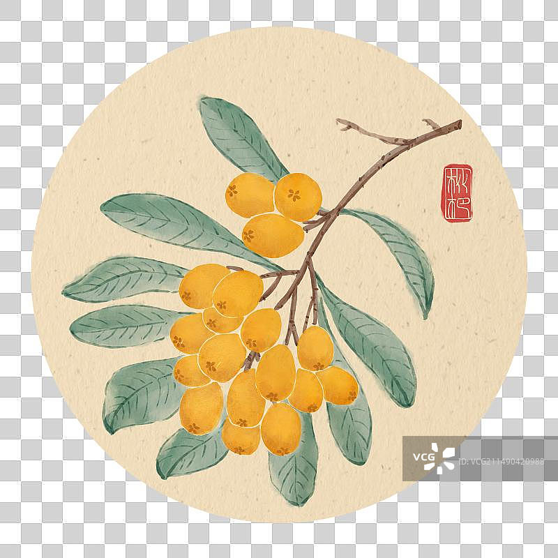 水果系列 枇杷图片素材