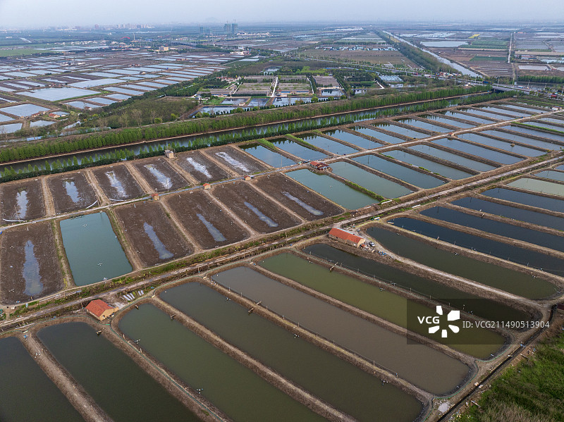 对虾养殖基地图片素材