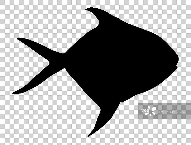 鲳鱼剪影艺术图片素材