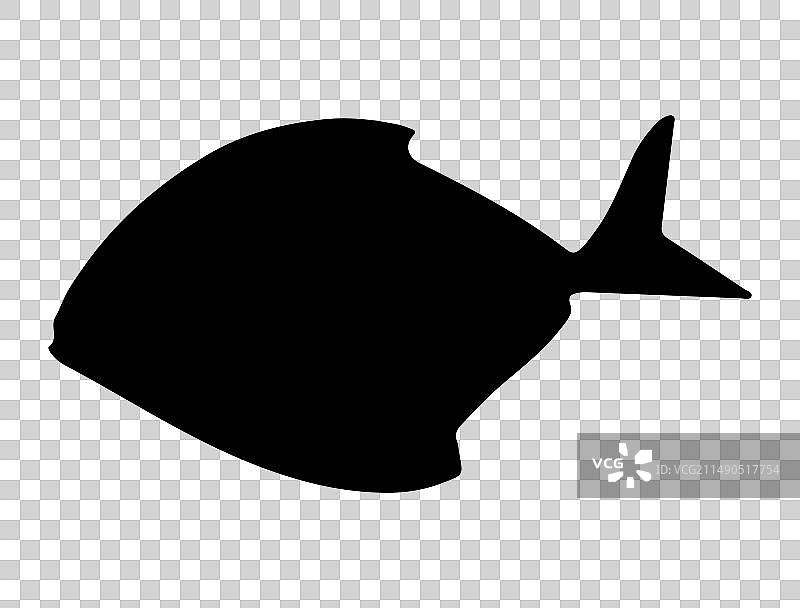 鲳鱼剪影艺术图片素材