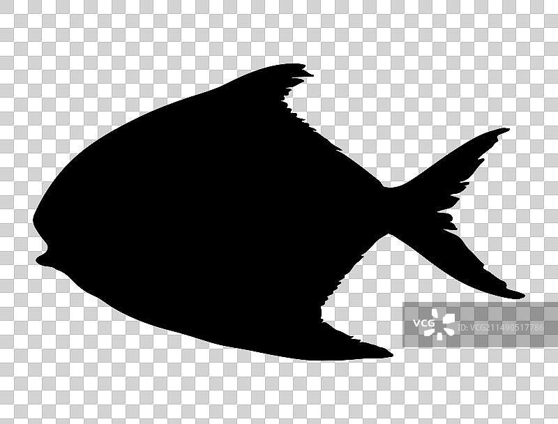 鲳鱼剪影艺术图片素材