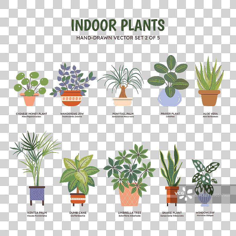 室内植物 - 彩色套装2/5图片素材