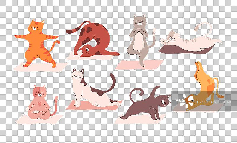 做瑜伽的有趣猫咪宠物图片素材
