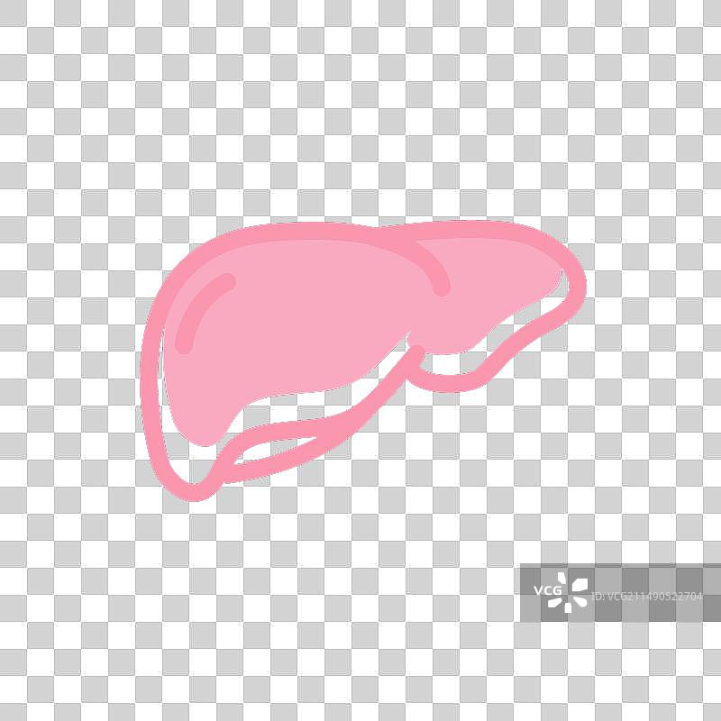 应用于App和网站的健康人肝脏图标图片素材