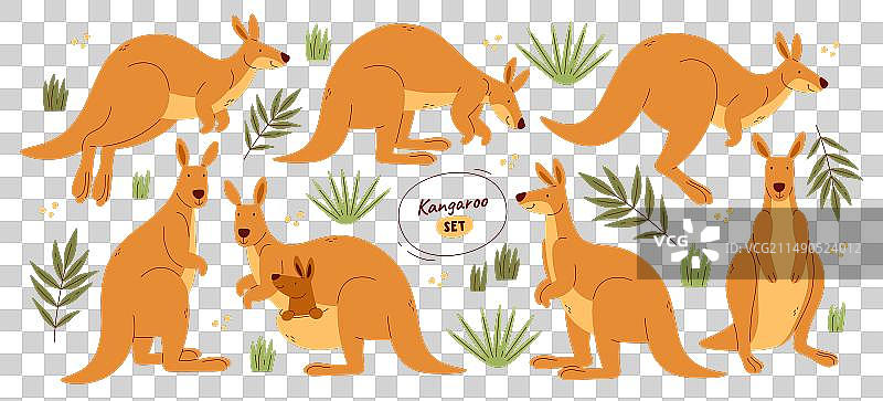 跳跃吃东西的可爱袋鼠卡通形象图片素材