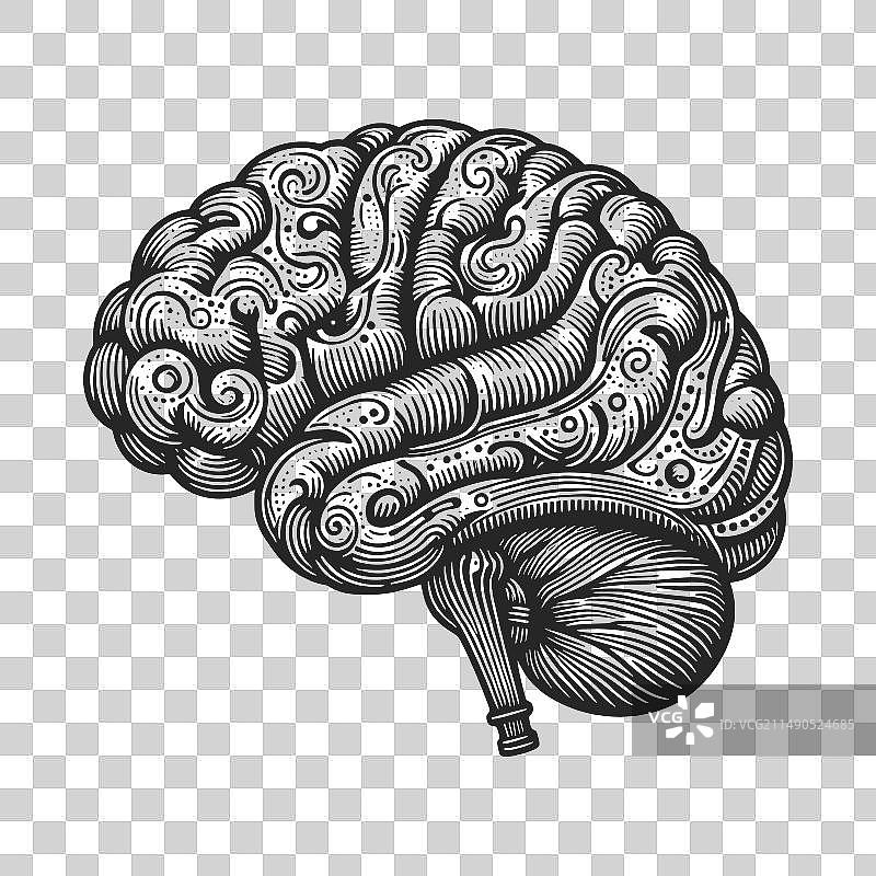 抽象人脑图片素材