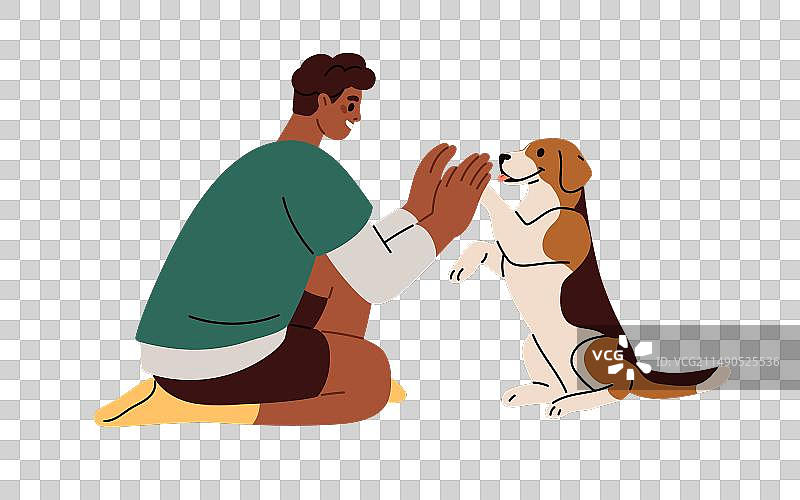 可爱的狗狗用爪子与手击掌图片素材