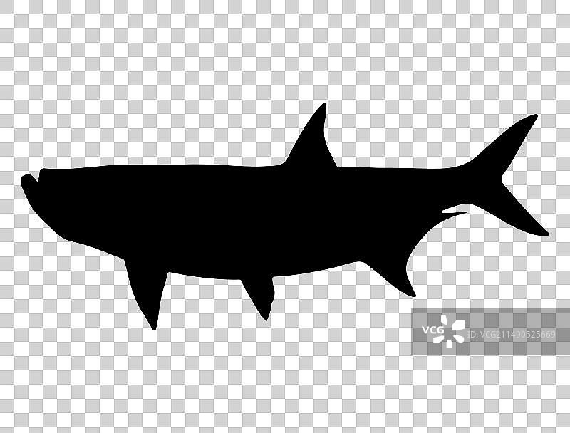 海鲢鱼剪影艺术图片素材