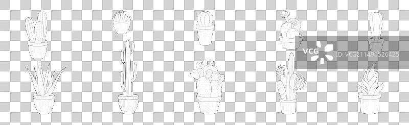 盆栽仙人掌多肉植物线性图图片素材