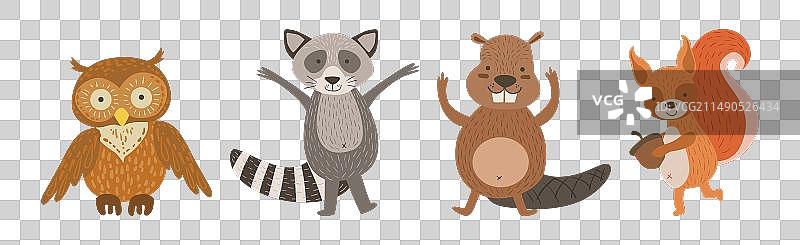 可爱的林地动物和野生动物群图片素材