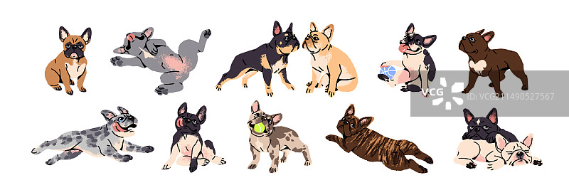 不同颜色的法国斗牛犬可爱玩具套装图片素材