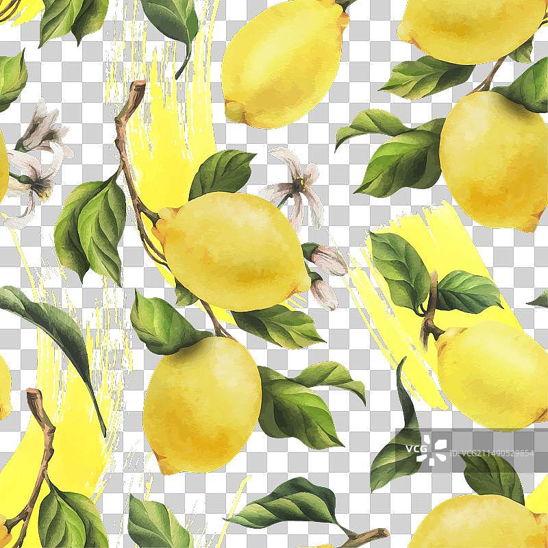 多汁的成熟柠檬与绿叶图片素材