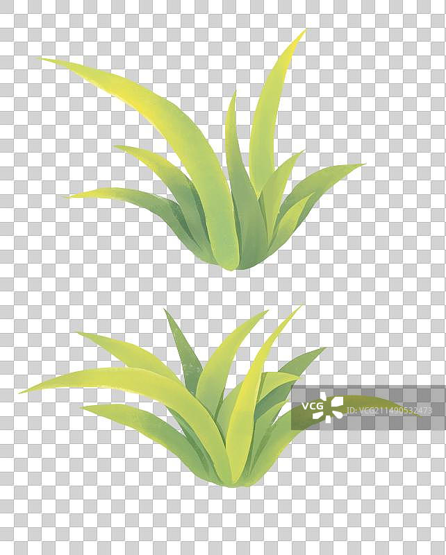 春天插画元素小草草丛图片素材