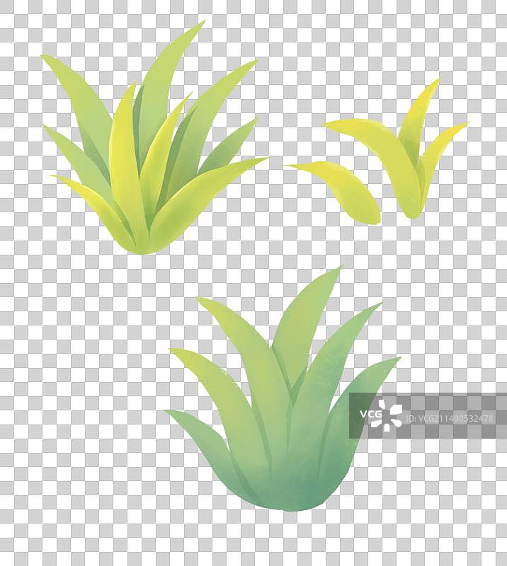 春天插画元素小草草丛图片素材