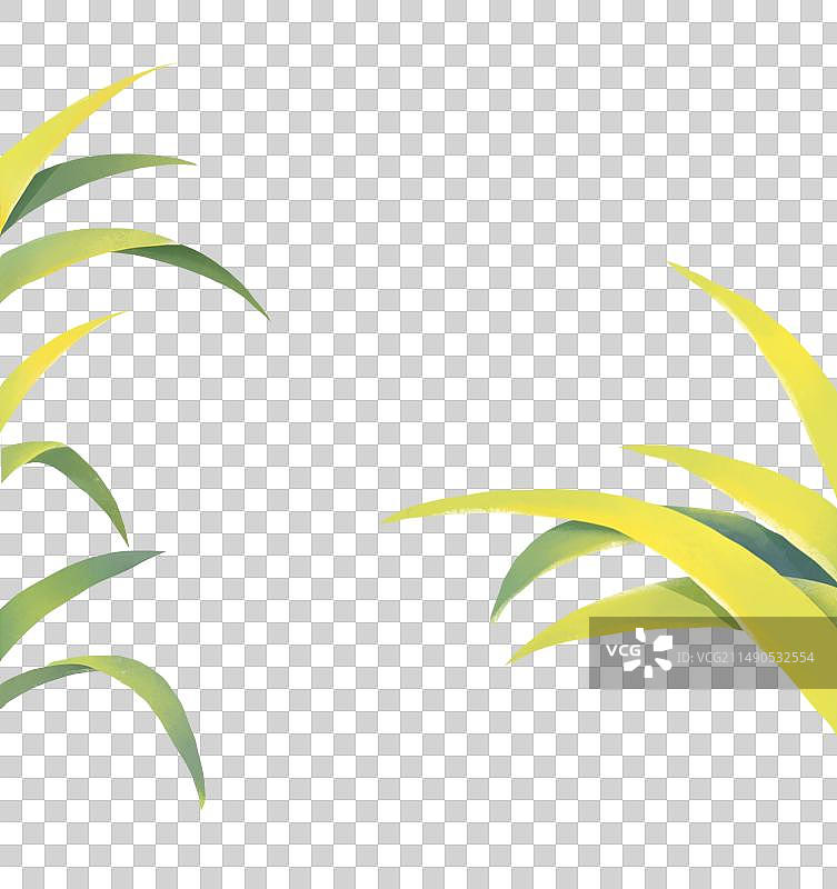 春天插画元素小草草丛图片素材