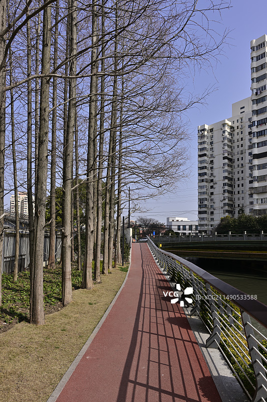 城市中的树木和建筑物顶着天空图片素材