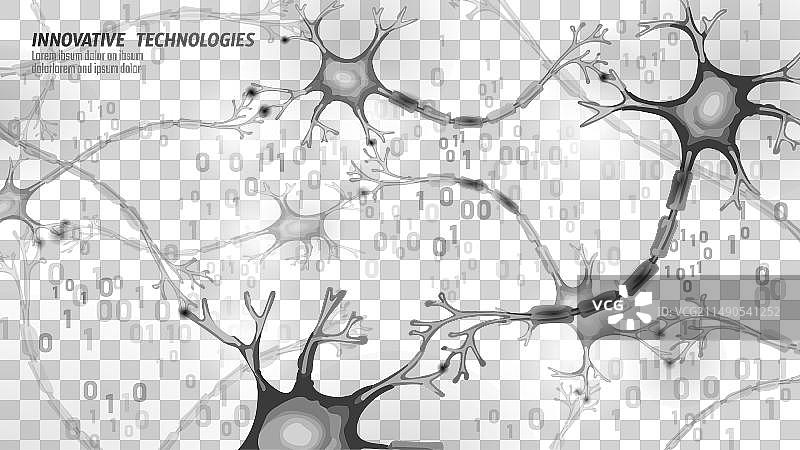 低多边形人体神经元解剖概念图片素材