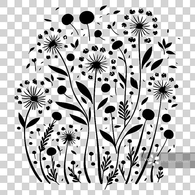 黑色飞行蒲公英种子涂鸦草图图片素材